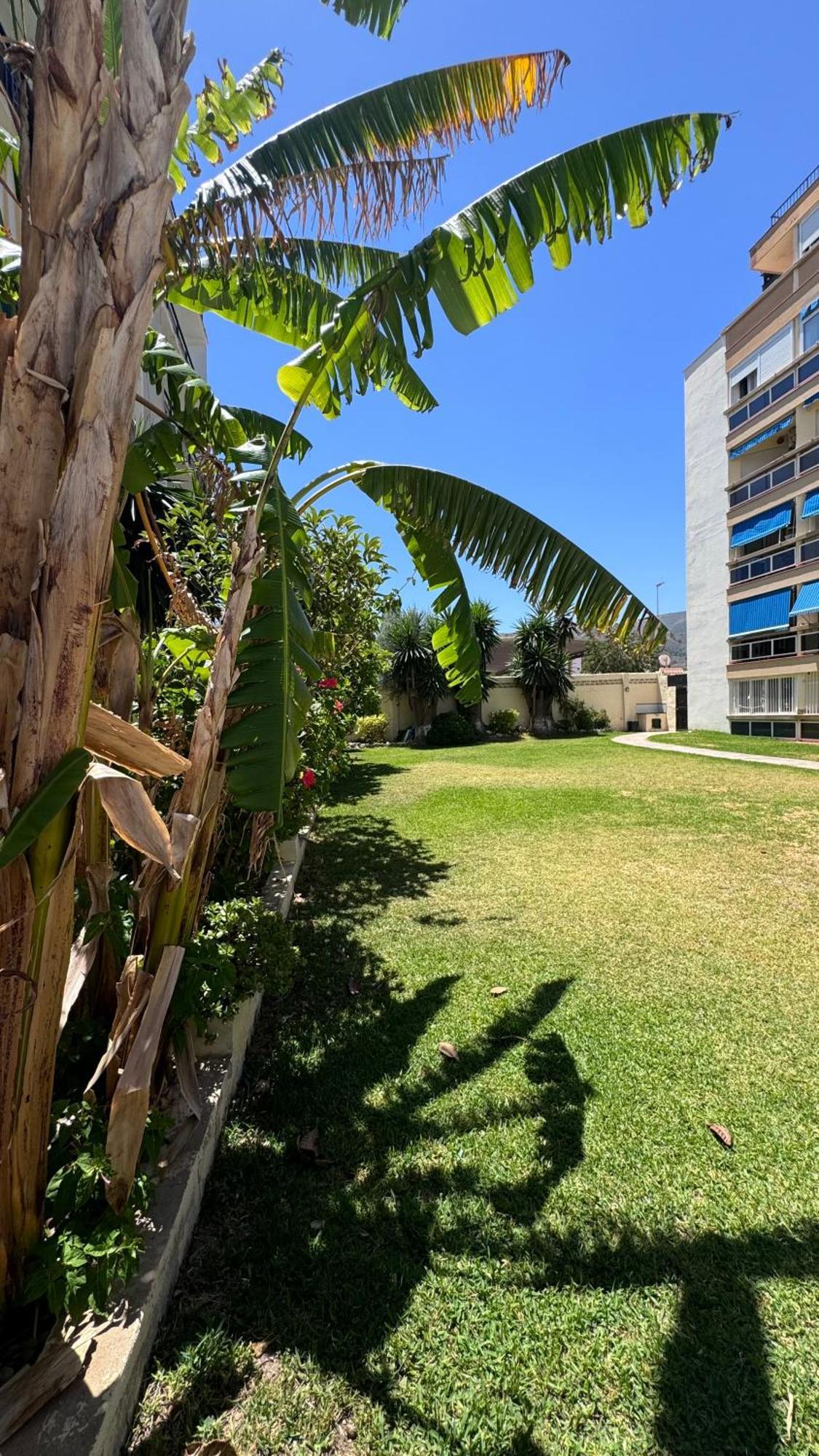 Cactus Stay Apartamento 托雷莫利诺斯 外观 照片